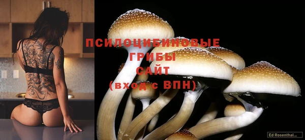 круглые Вязьма