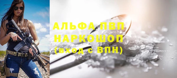 эйфоретик Вяземский