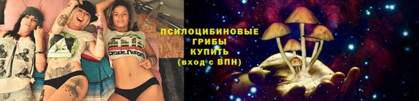 эйфоретик Вяземский