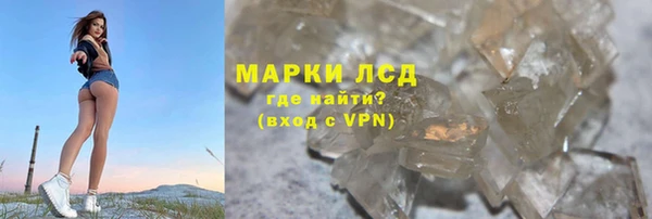 эйфоретик Вяземский