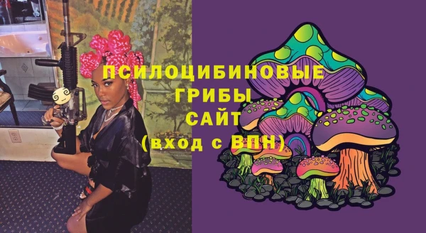 эйфоретик Вяземский