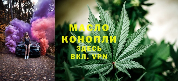 эйфоретик Вяземский