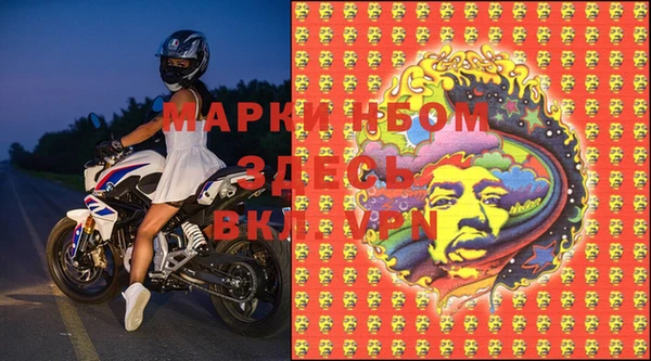 эйфоретик Вяземский
