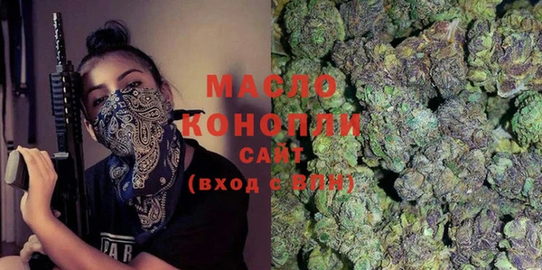эйфоретик Вяземский