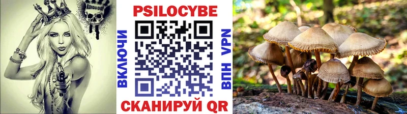 Псилоцибиновые грибы ЛСД  закладки  Меленки 